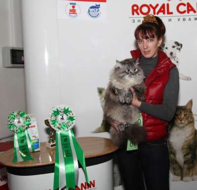 �������� ����� '������� ���-�����' 30 ������-1 ������� 2013., ������������ ��� 3823